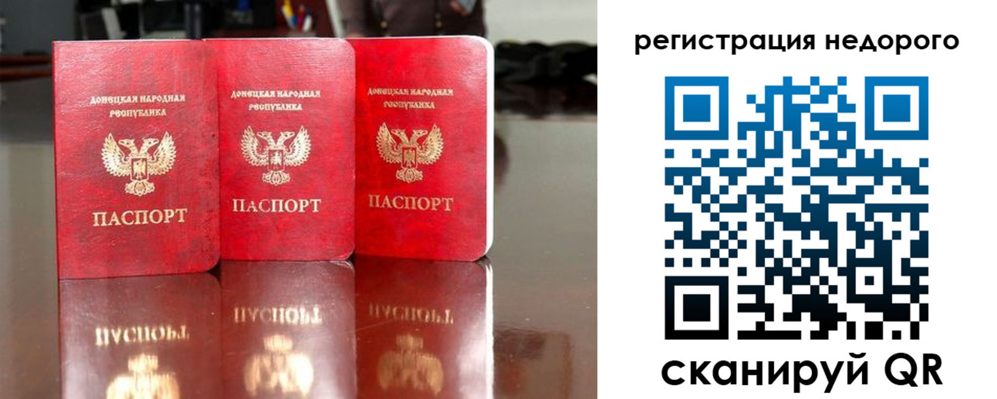 прописка поиск в Апатитах